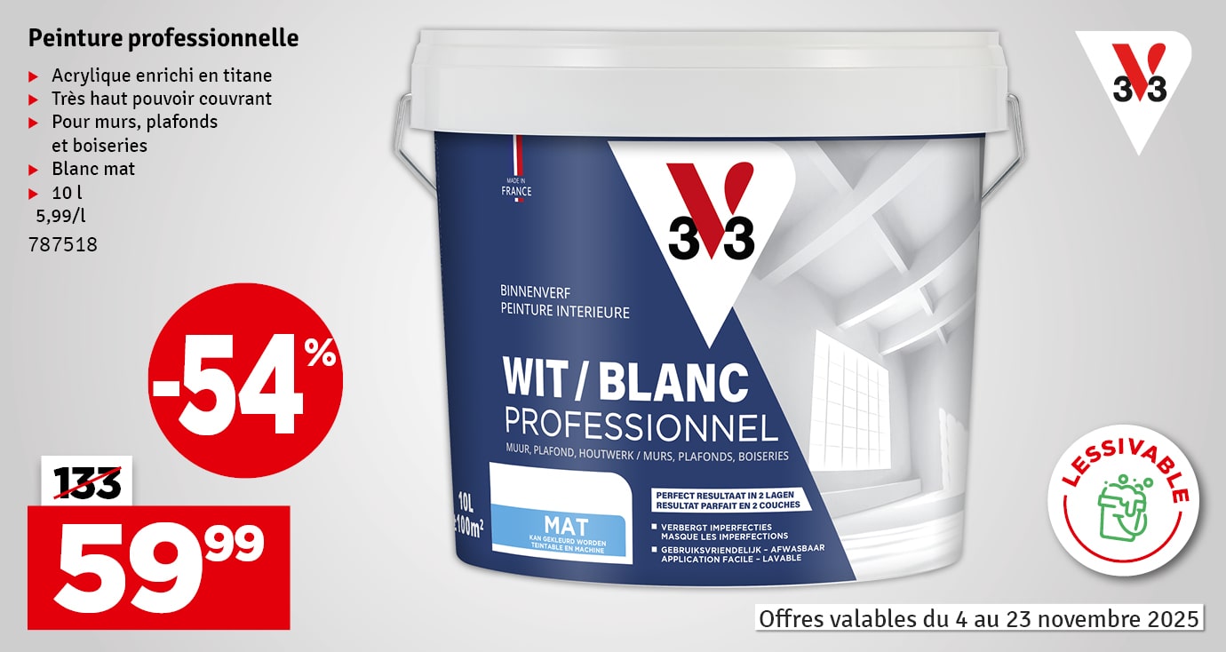 Peinture Professionnel blanche mate 10 L V33